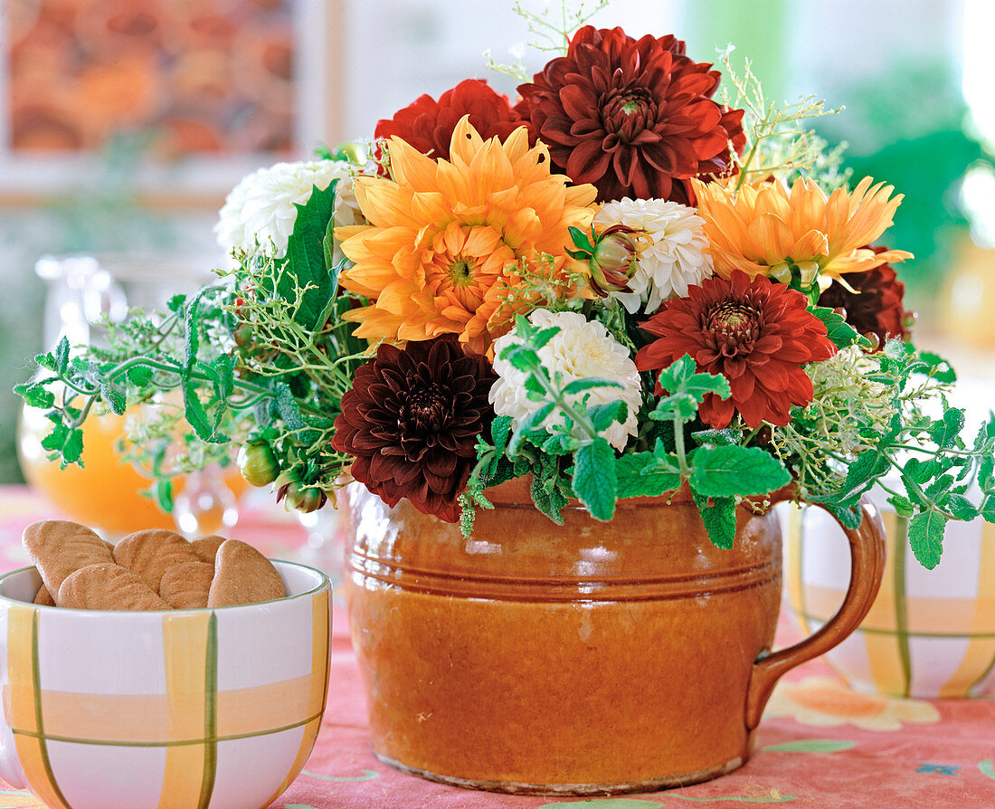 Milk pot with dahlia hybrid (dahlia flowers)