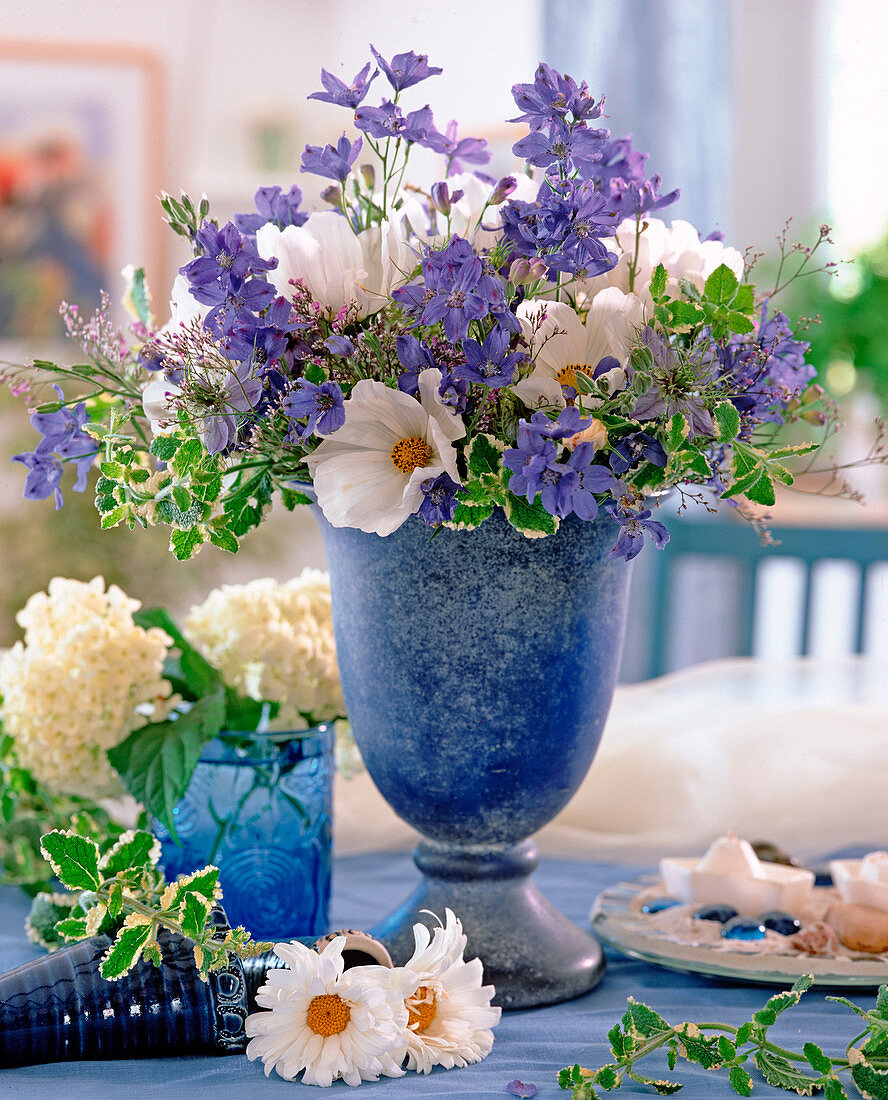 Delphinium ajacis 'Consolida' (Annual Delphinium)