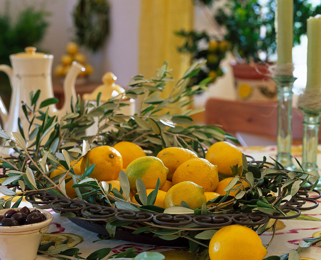 Iron basket with olea (olive branches)