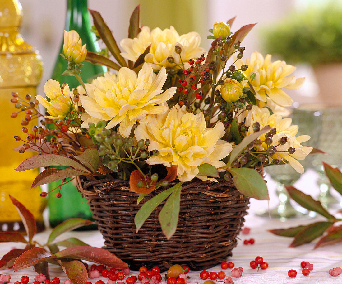 Korb mit Dahlia-Hybr. / Dahlie, Rosa multiflora / Hagebutte, Viburnum-Beeren