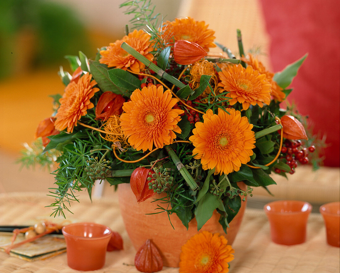 Gerbera, Hedera (ivy), Asparagus (ornamental asparagus), Physalis