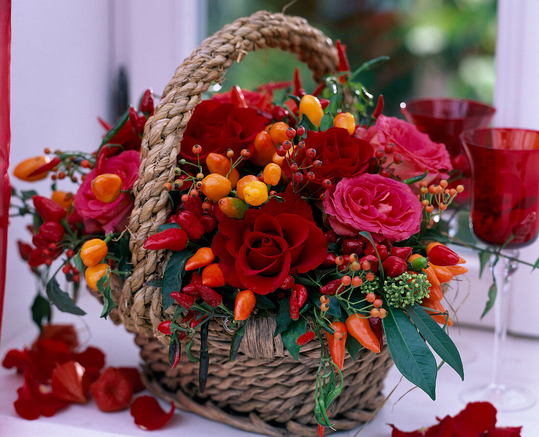 Rosa (Rose) 'Enigma', ' Latin' und Hagebutten, Capsicum (Zierpaprika), Skimmia