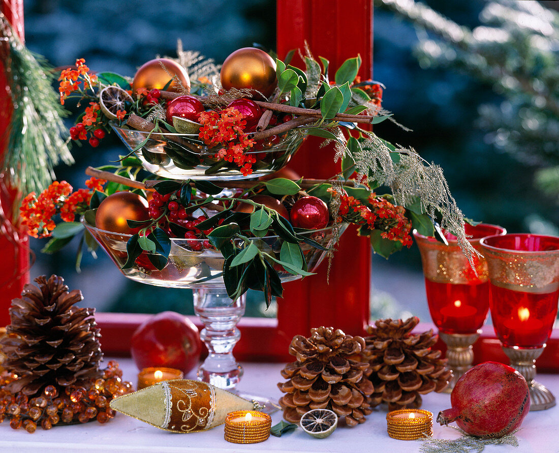 Glass tray decorated with Ilex aquifolium (holly), Euphorbia fulgens (spurge)