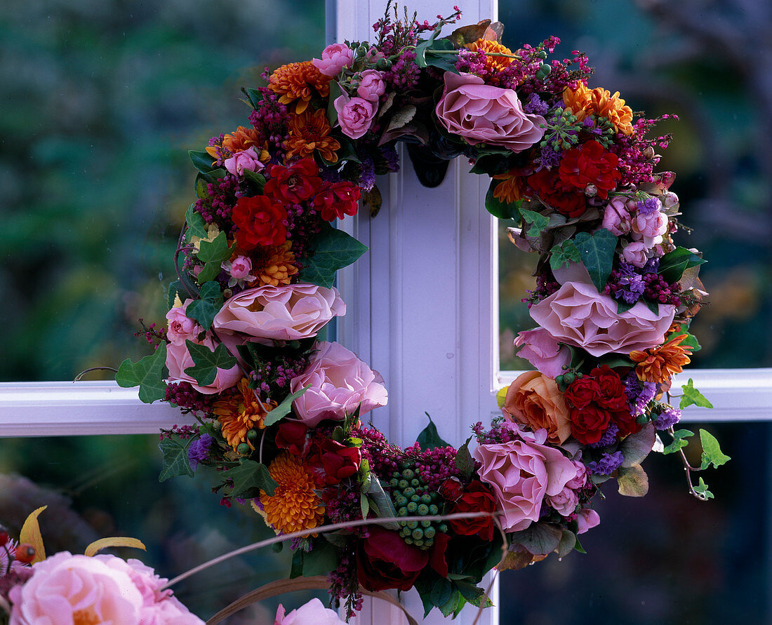 Wreath of fresh flowers to dry later, Rosa (roses), Erica (heather)