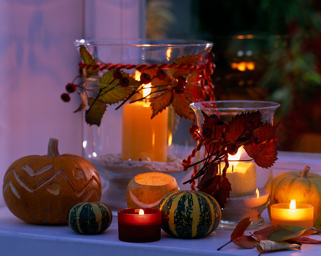 Kürbisdeko im Fenster: Cucurbita (Kürbisse), Rosa (Hagebutten), Rubus (Brombeerblüten)