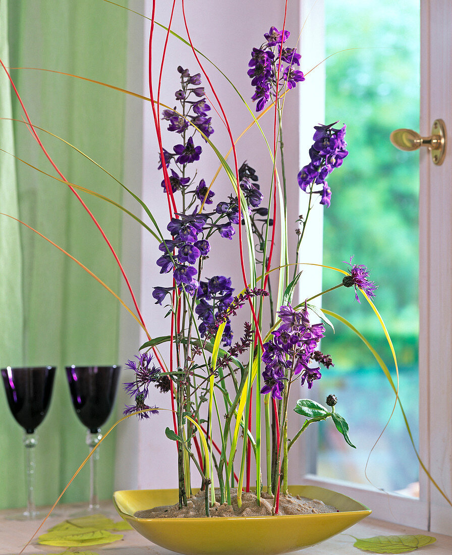 Delphinium (larkspur), Salvia (sage), Centaurea (knapweed)