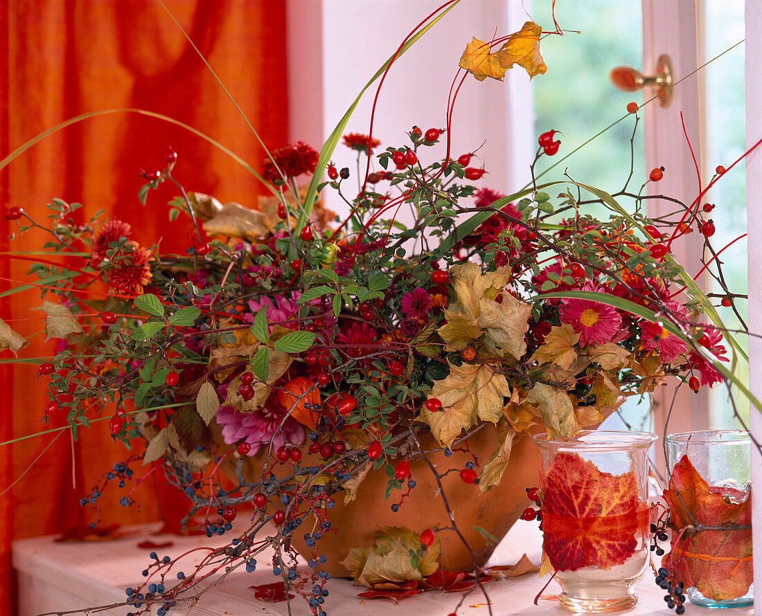 Rosa (rosehips and tendrils), Rubus (blackberry tendrils), Parthenocissus (wild vine)