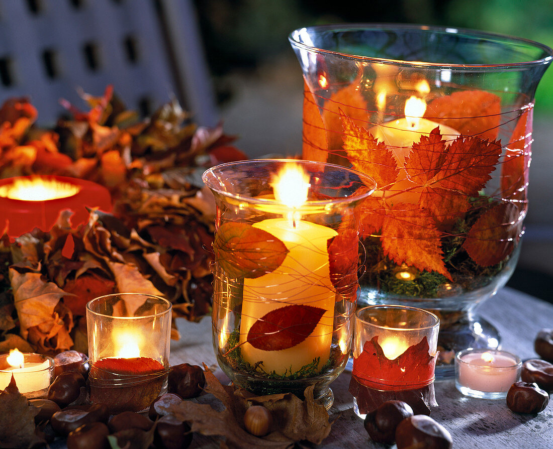 Pressing flowers and leaves, lanterns with dried, pressed leaves stuck on (5/5)