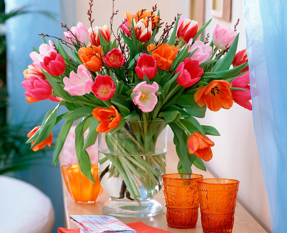 Tulipa (colorful tulip bouquet)