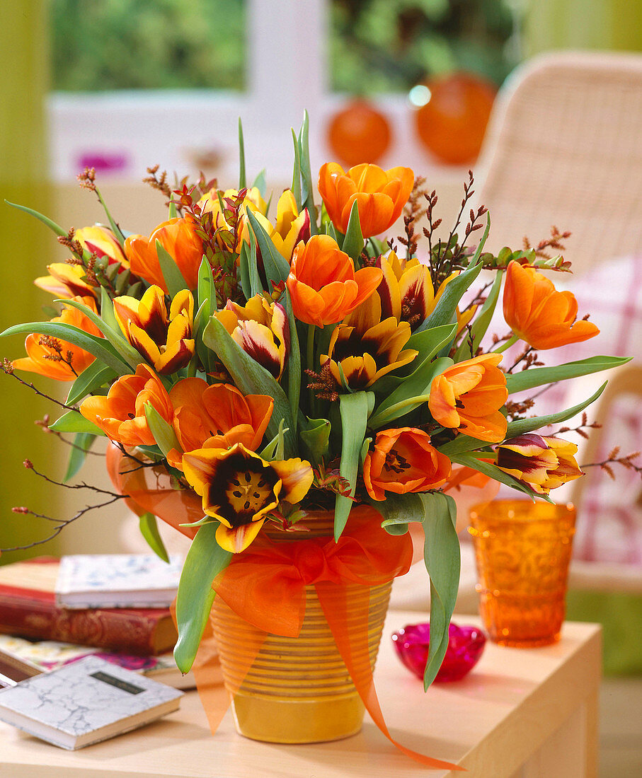 Tulipa (Tulpen) orange und weinrot-gelb, Betula (Moorbirke)