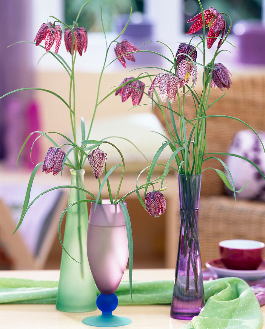 Fritillaria meleagris (checkerboard flower in glass vases)