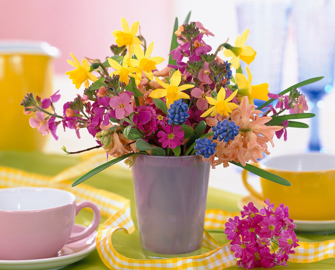 Narcissus (daffodils), Erysimum (golden violet), Hyacinthus (hyacinth)