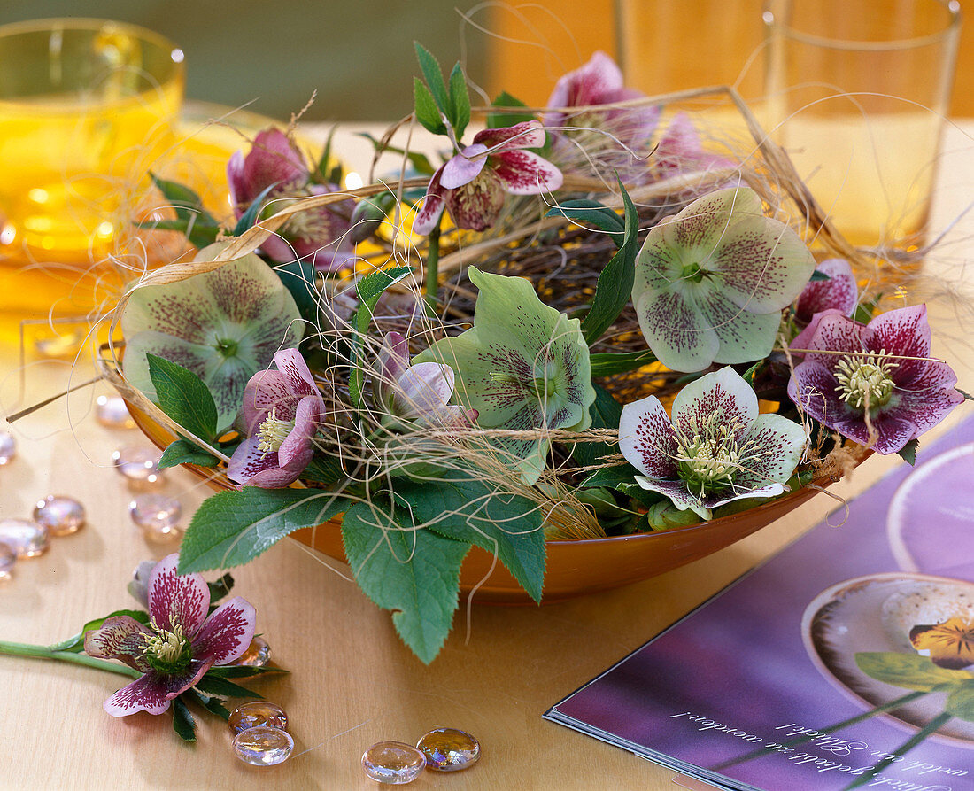 Helleborus orientalis (lenten hellebore) with grass and branches