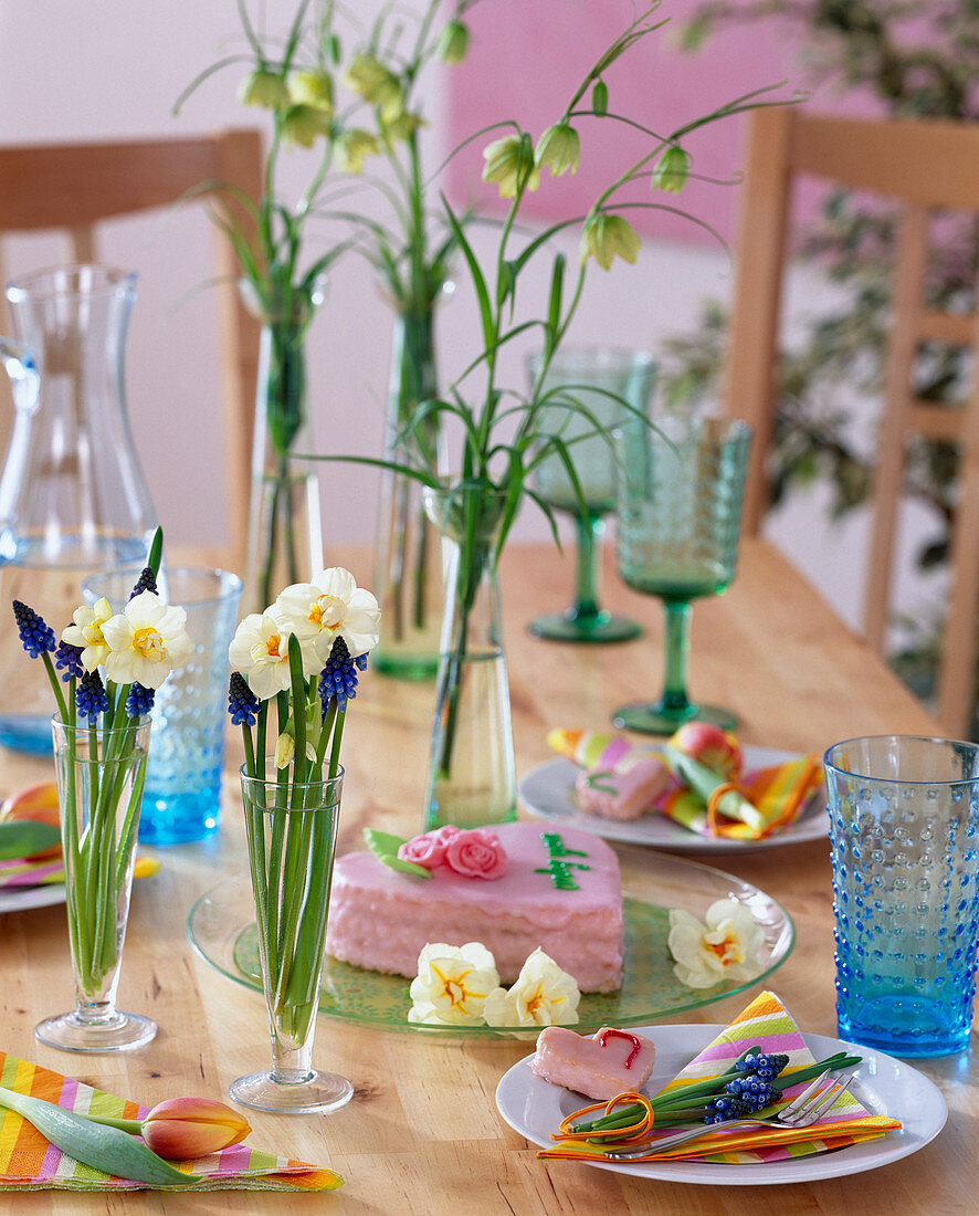 Narcissus 'Bridal Crown' (daffodils), Muscari (grape hyacinth)