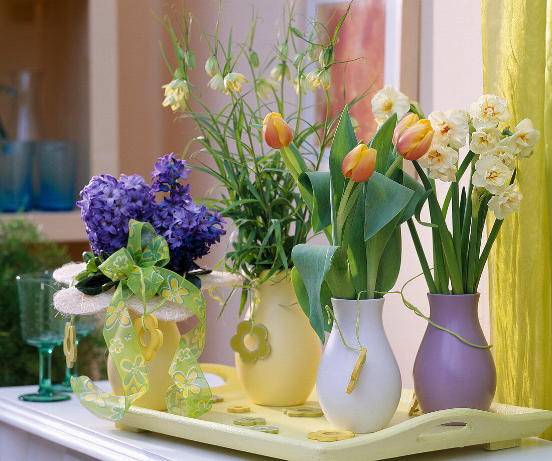 Tulipa 'Ad Rem' (Tulpen), Narcissus' Bridal Crown' (Narzissen)