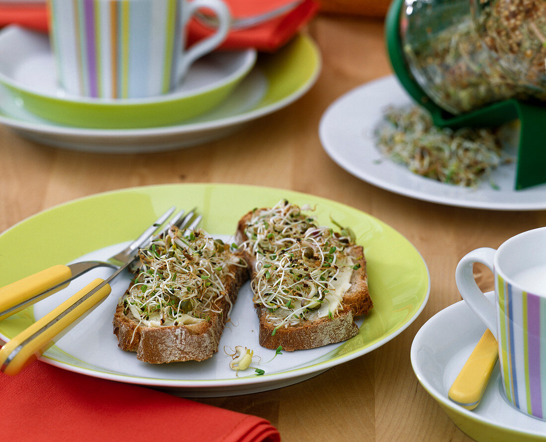 Fresh bread with sprouts