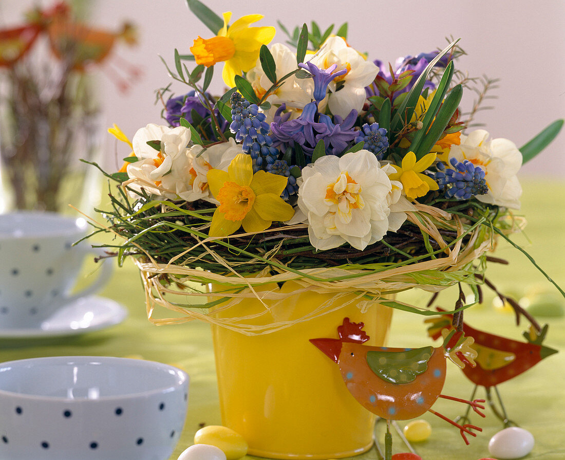 Narcissus 'Jetfire'' 'Bridal Crown' and 'Tete a Tete' (Narcissi)