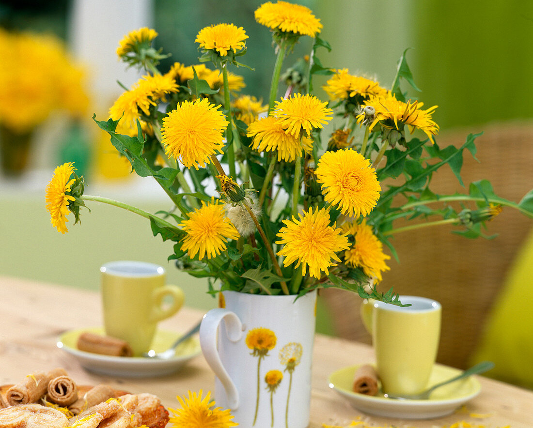 Taraxacum / Löwenzahn in passender Tasse