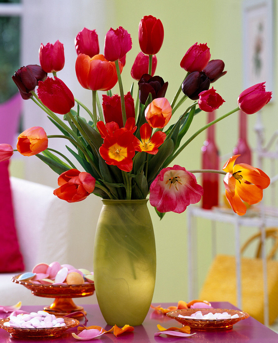 Tulipa (gemischter Tulpenstrauß) in gelber Glasvase