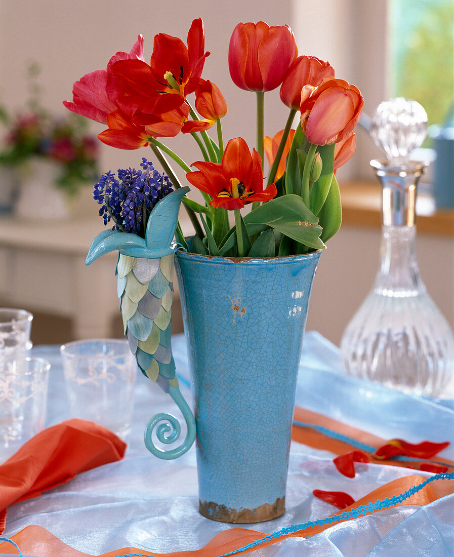 Tulipa (tulips), Muscari (grape hyacinths).