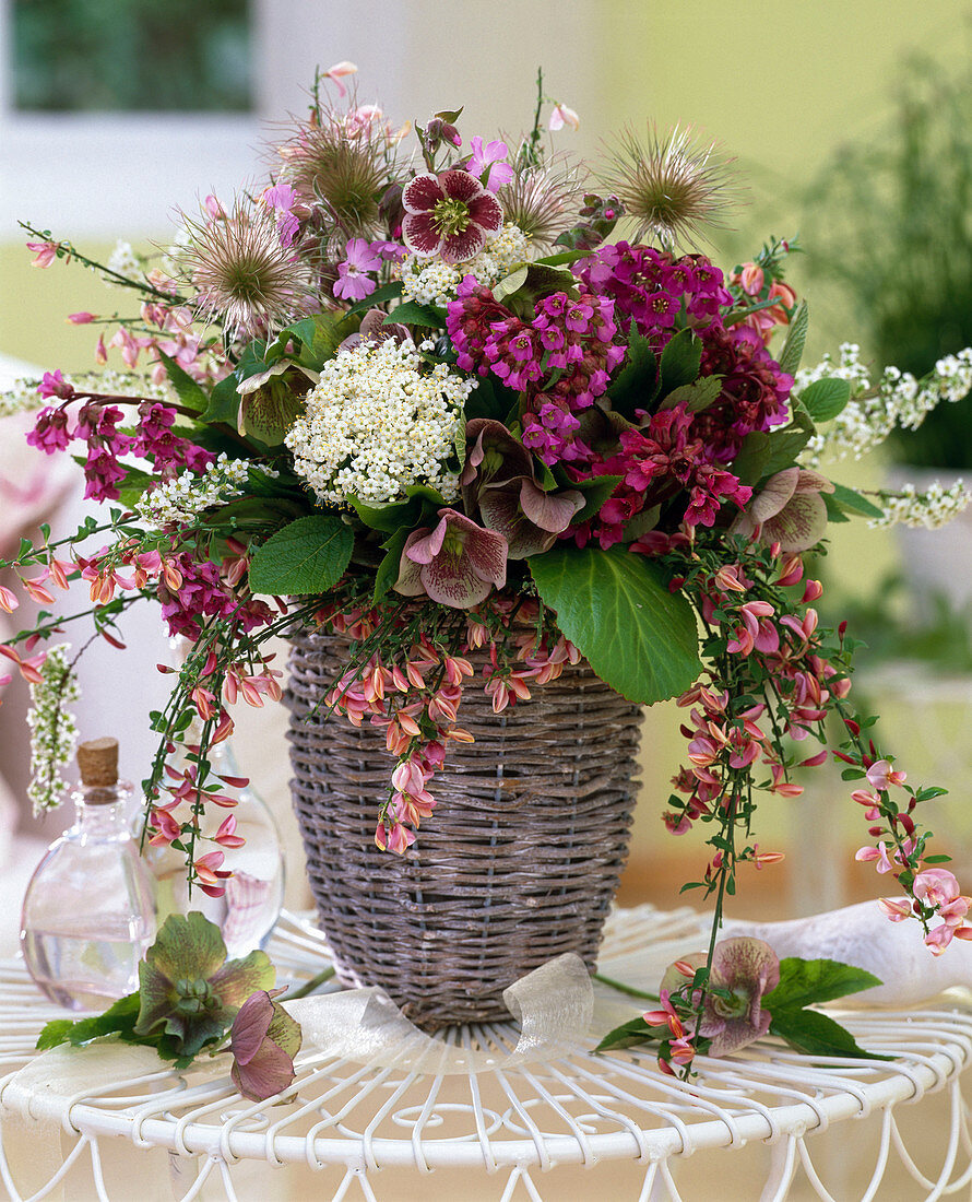 Bergenia (bergenia), Viburnum (snowball), Helleborus (lentisk)