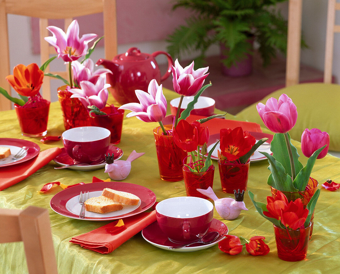 Tulipa (Tulips) in red jars