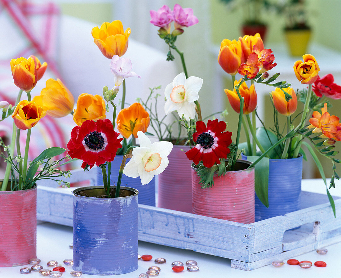 Tulipa (tulips), Narcissus (daffodils), freesia, anemone