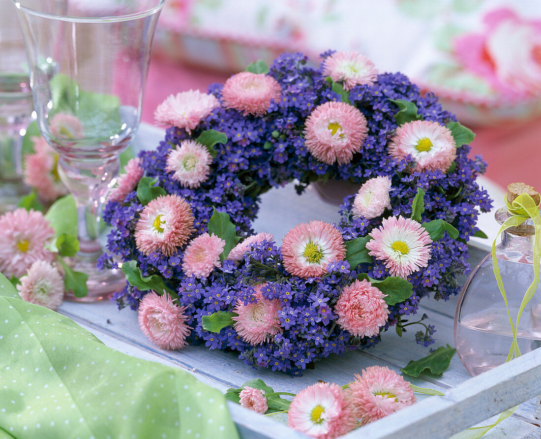 Wreath of Myosotis compindii (forget-me-not, Bellis)