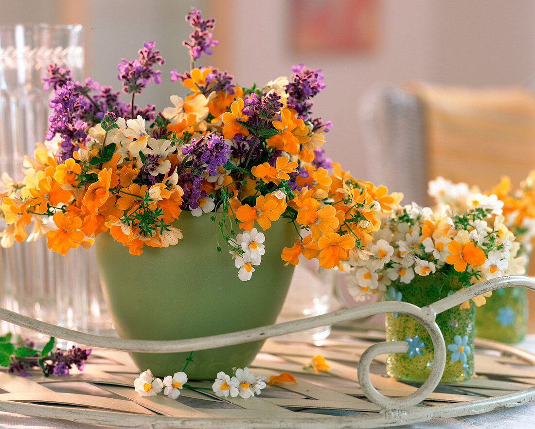 Nemesia 'Pineapple', 'Lemon', 'White' (Fairy mirror), Nepeta