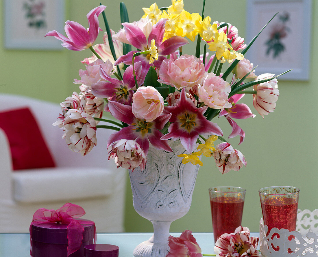 Tulipa 'Angelique', ' Carnaval de Nice', 'Claudia' (Tulpen)