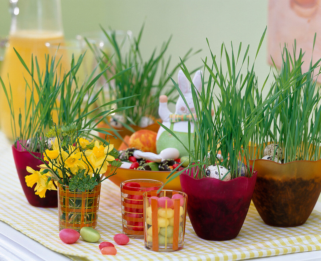 How to Grow Easter Grass 