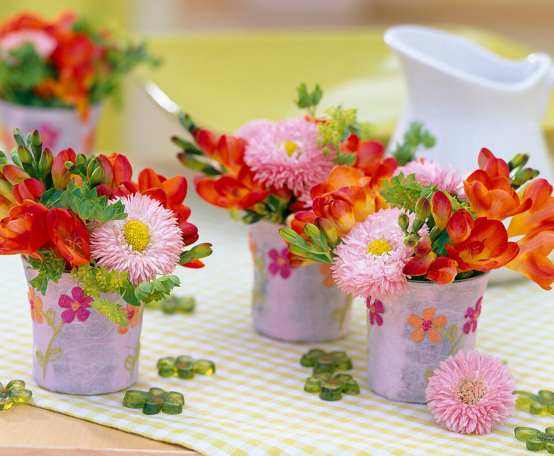 Freesia 'Orangina' / Freesien, Bellis / Tausendschön