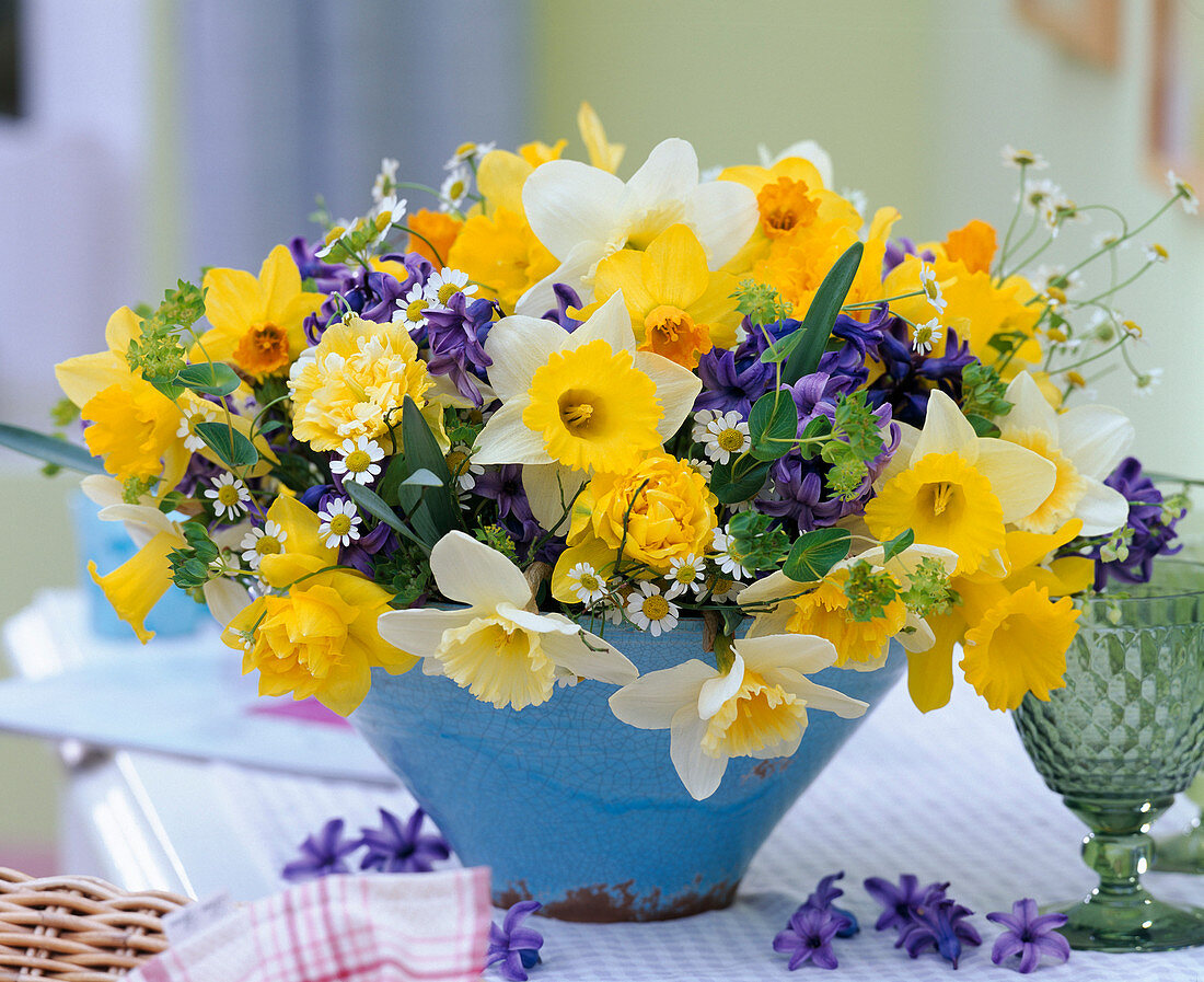 Narcissus (Narcissus single and double), Matricaria (Camomile)