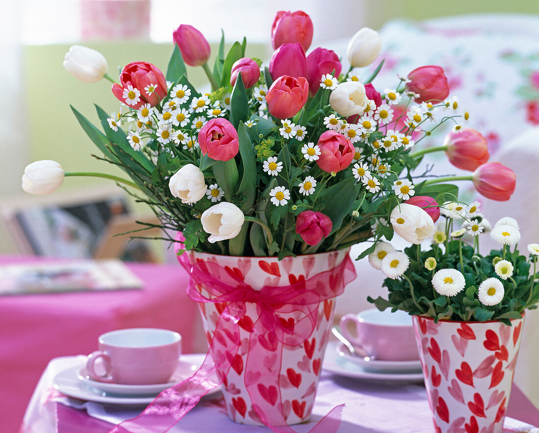 Tulipa (Tulpen), Matricaria (Kamille), Euphorbia (Wolfsmilch)