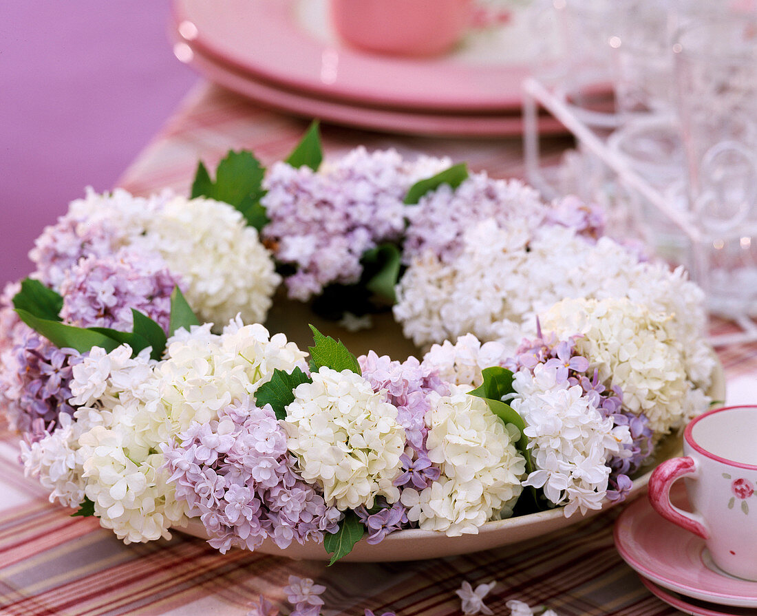 Syringa (Lilac white and light blue)