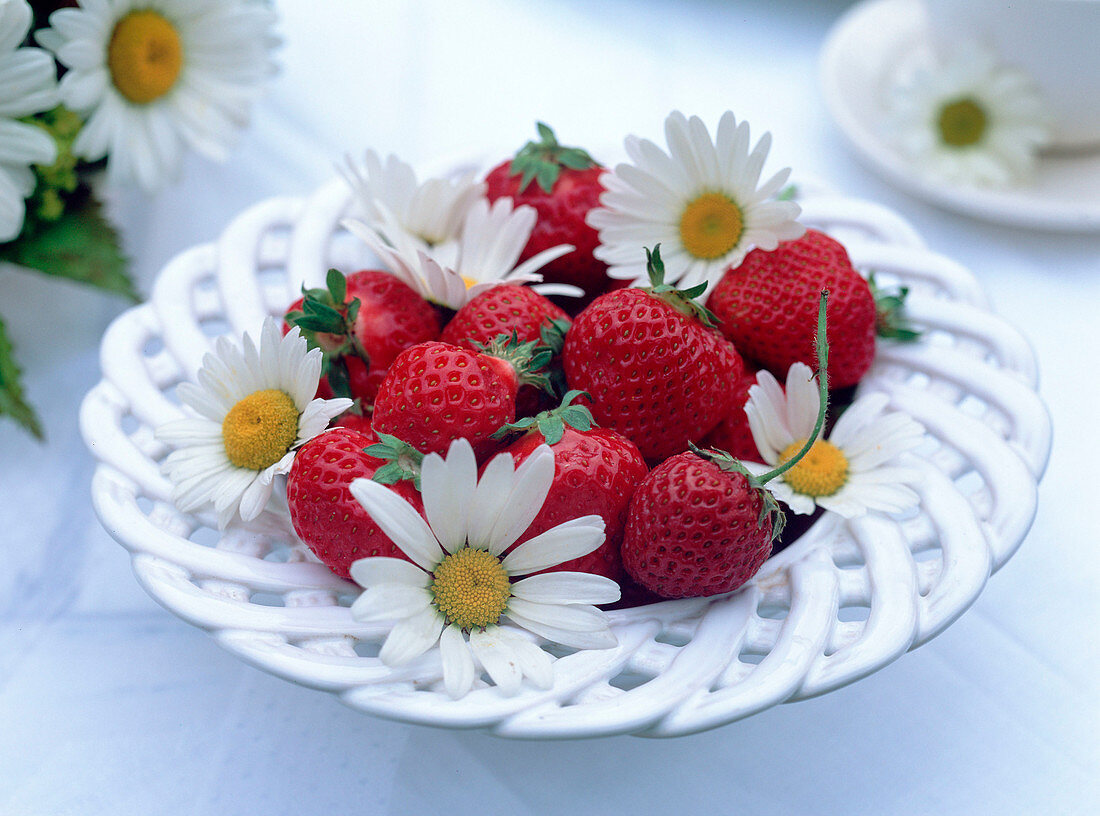 Bowl of Fragaria (strawberries)