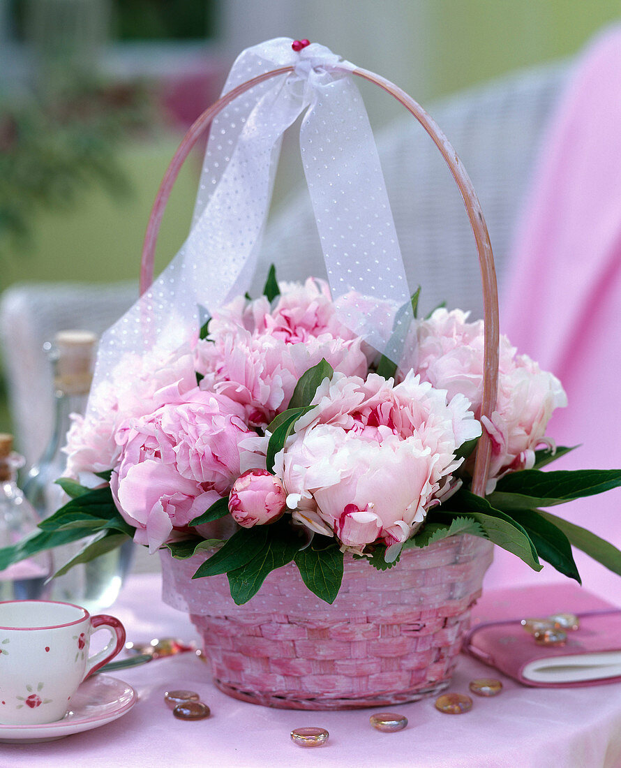 Paeonia 'Sarah Bernhard' (Peony) in pink baskets