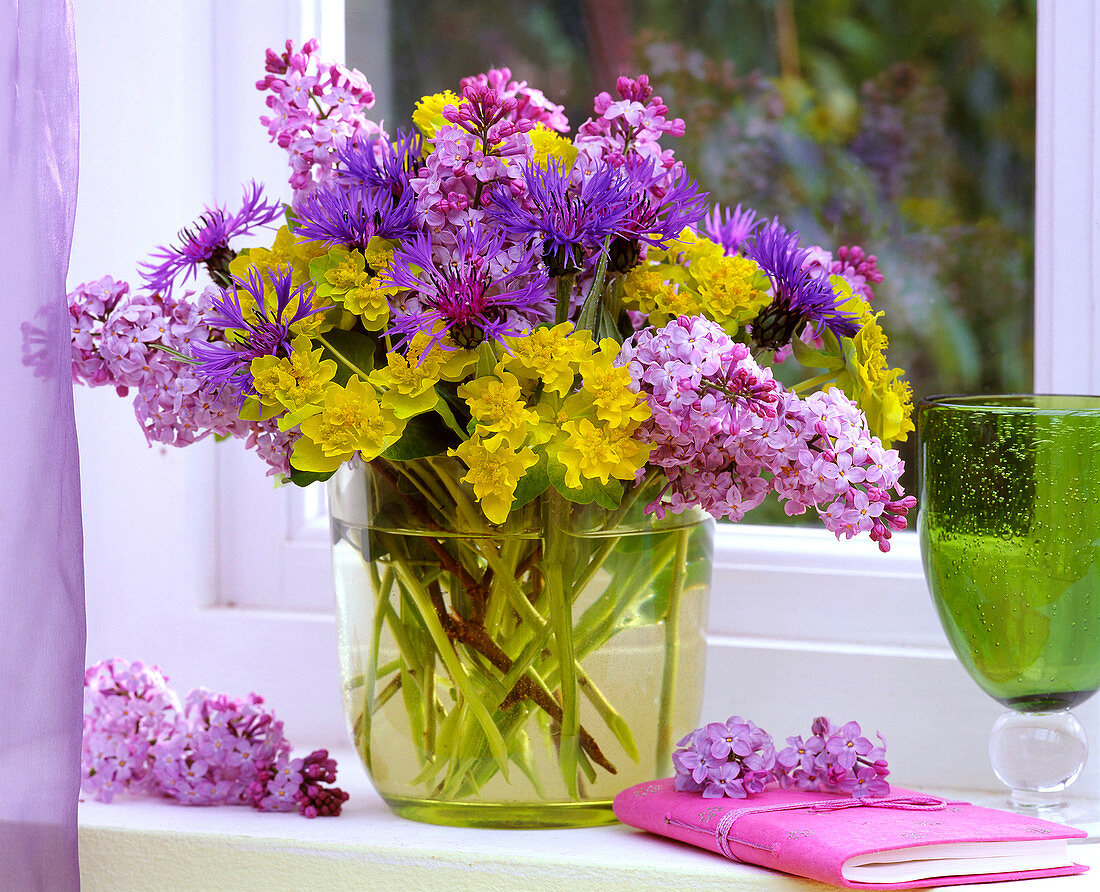 Syringa (Flieder), Centaurea (Flockenblume), Euphorbia