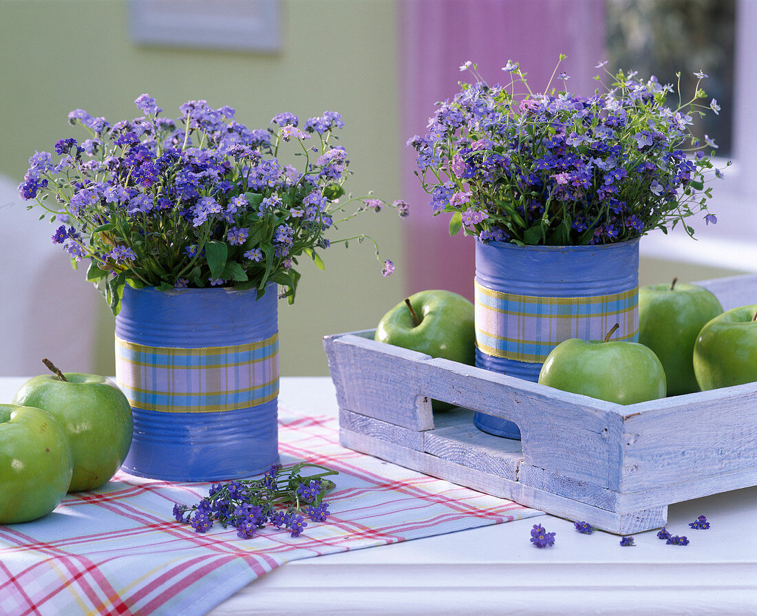 Myosotis (Forget-me-not), Veronica (Speedwell)