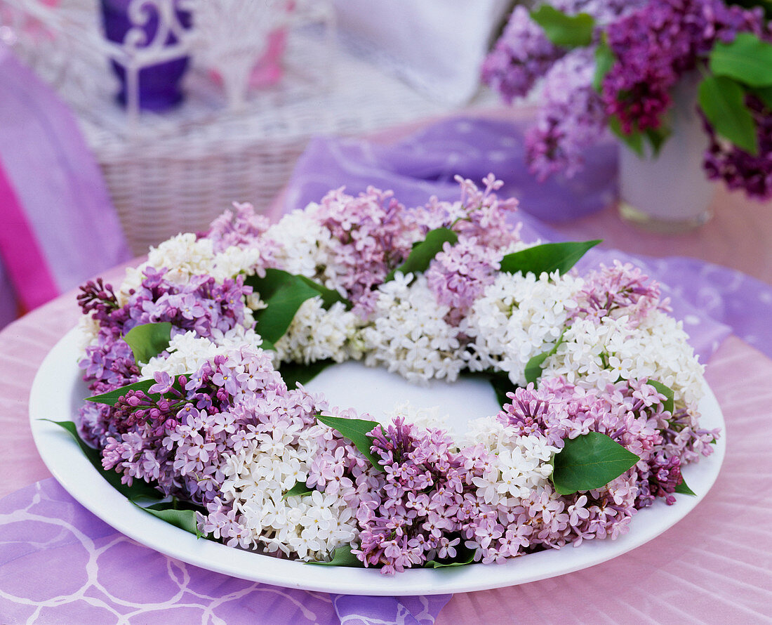 Syringa / Fliederkranz auf weißem Porzelanteller