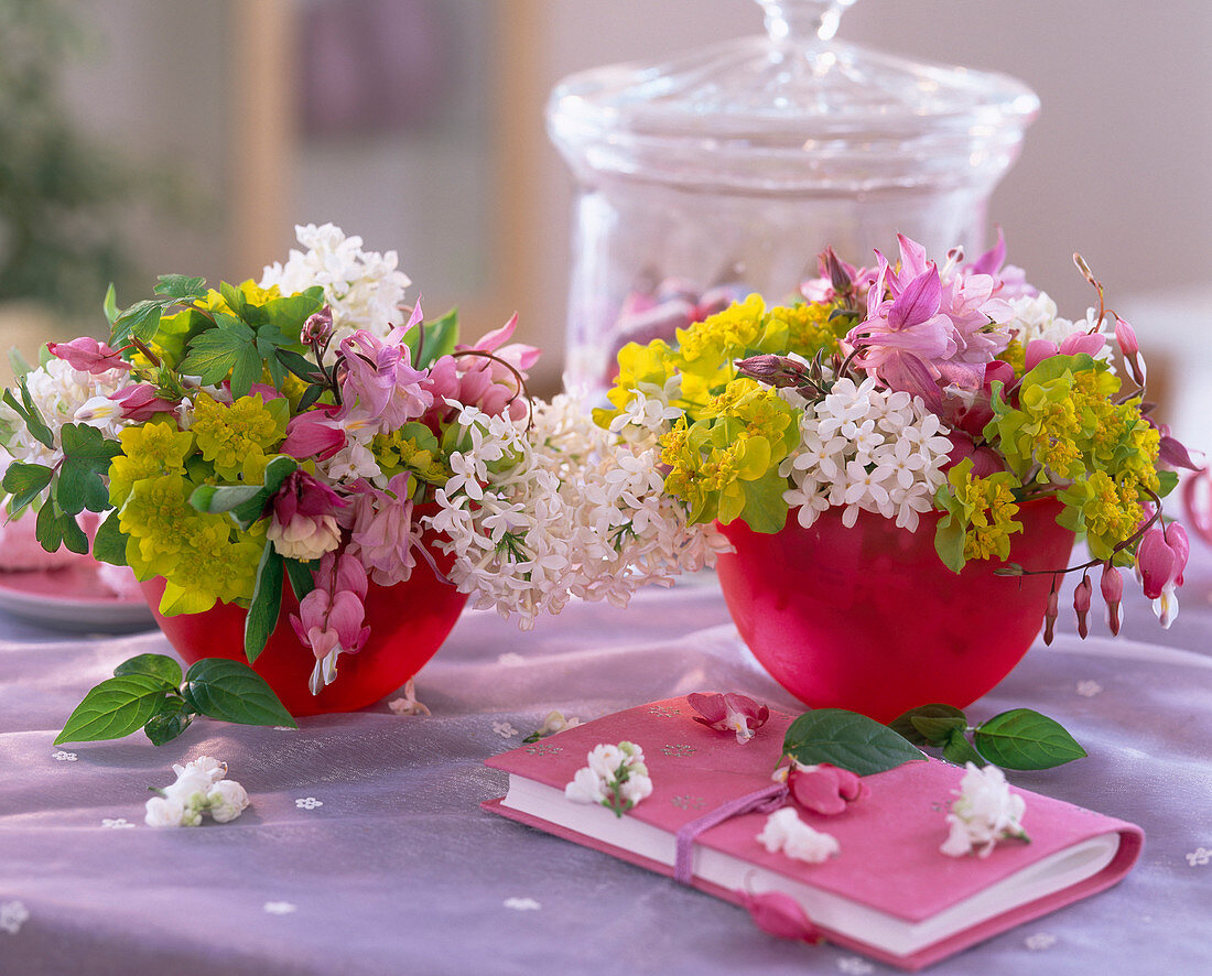 Syringa (Lilac), Aquilegia (Columbine), Euphorbia (Spurge)