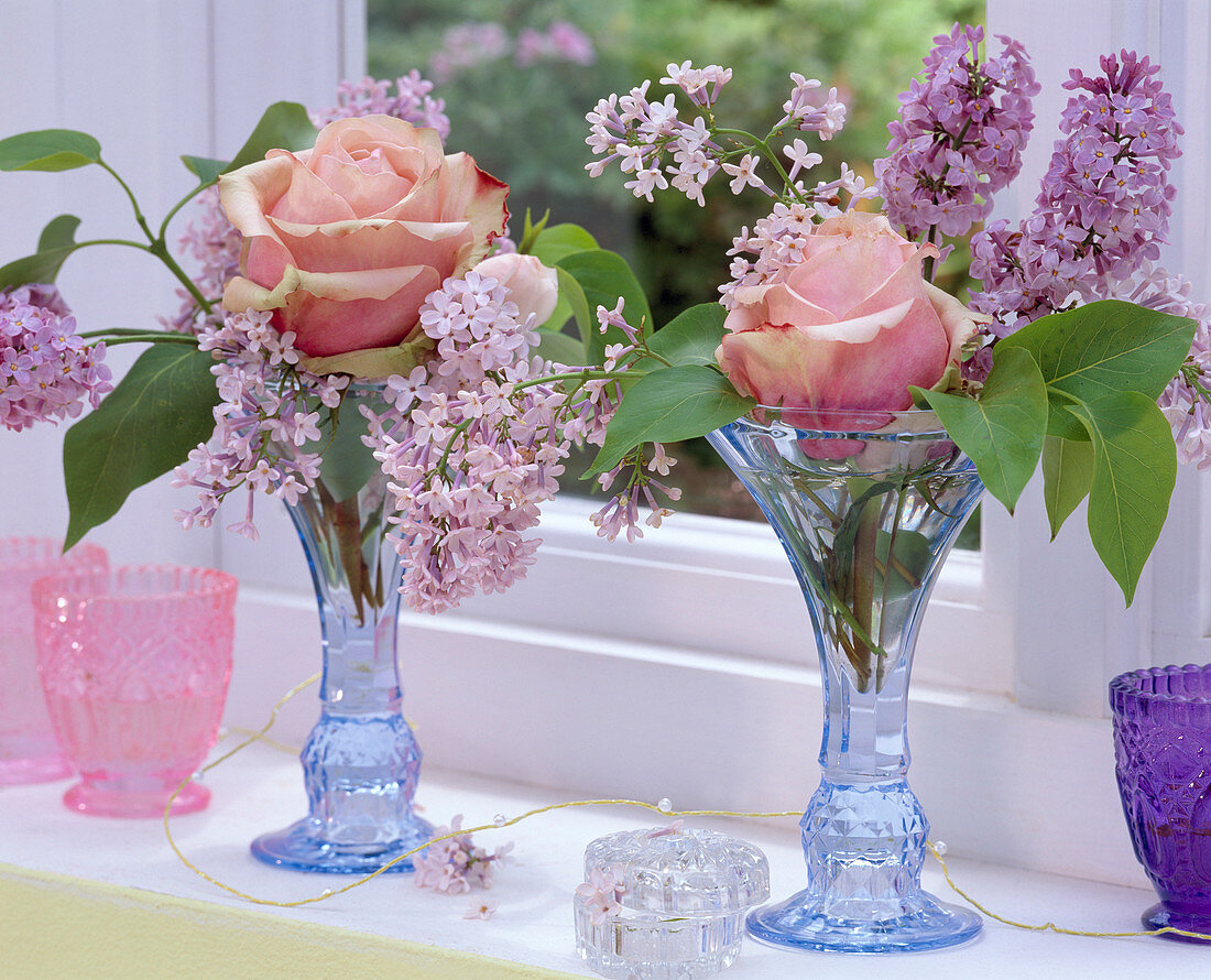 Syringa vulgaris (Flieder), Rosa (Rose) in hellblauen Eisbechern