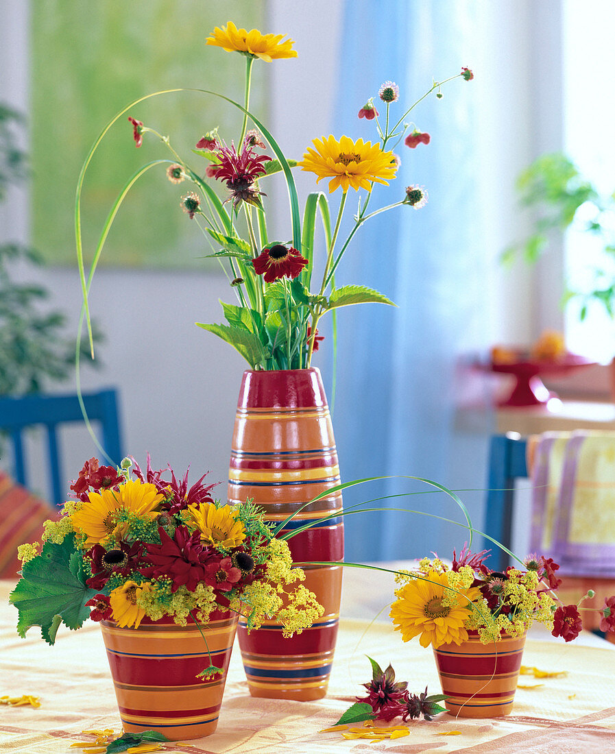 Heliopsis (sun eye), Helenium (sunflower), Monarda