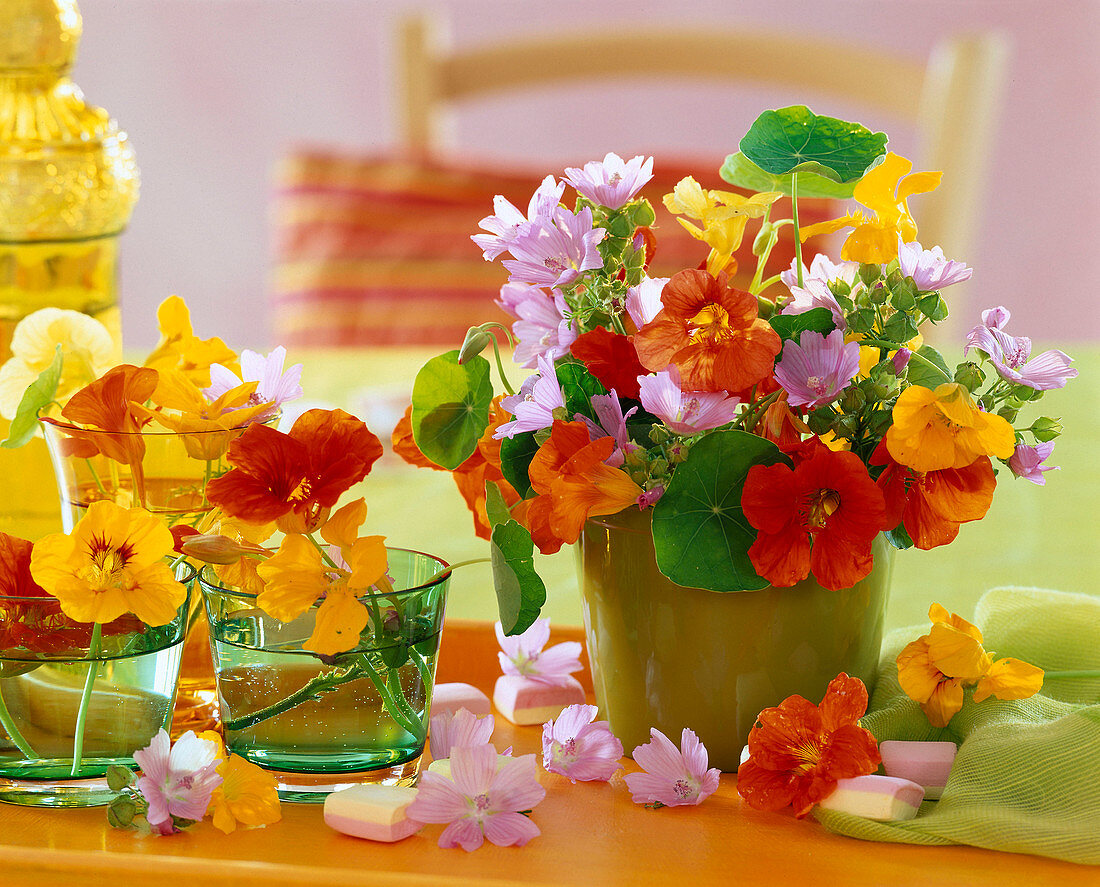 Tropaeolum (nasturtium), Malva alcea (rose mallow)