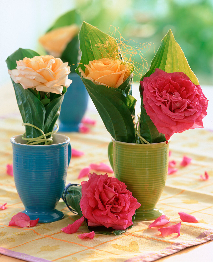 Rosa (rose blossoms) in rolled up Hosta (hosta leaves)