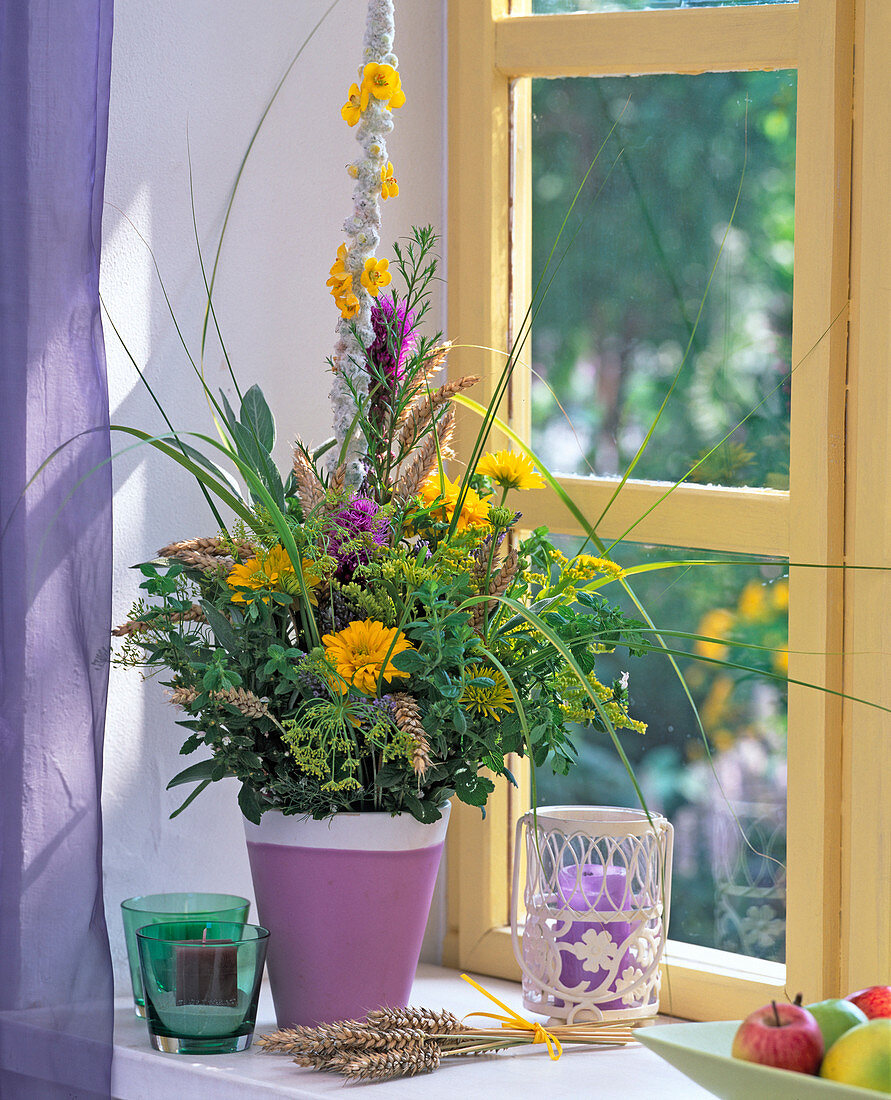 Verbascum (mullein), Liatris (orchid)