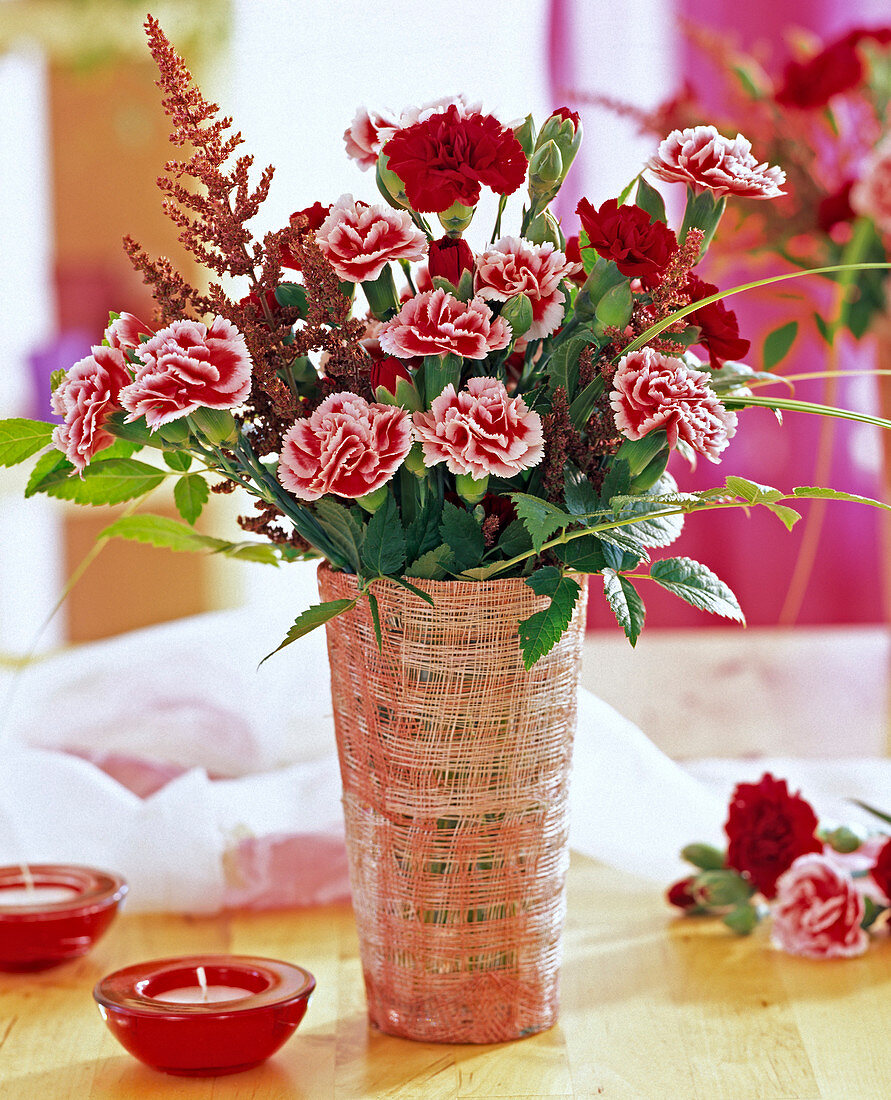 Dianthus (carnations)