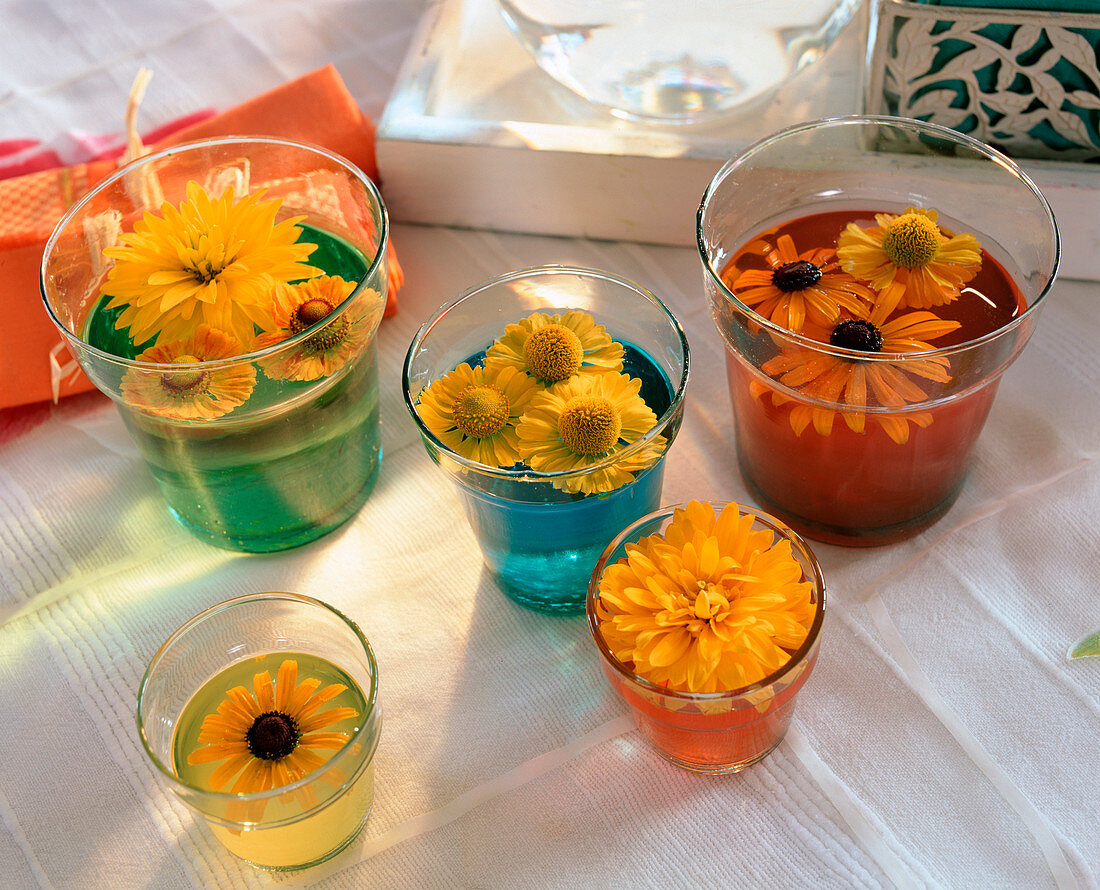 Rudbeckia (coneflower), Helenium (coneflower)