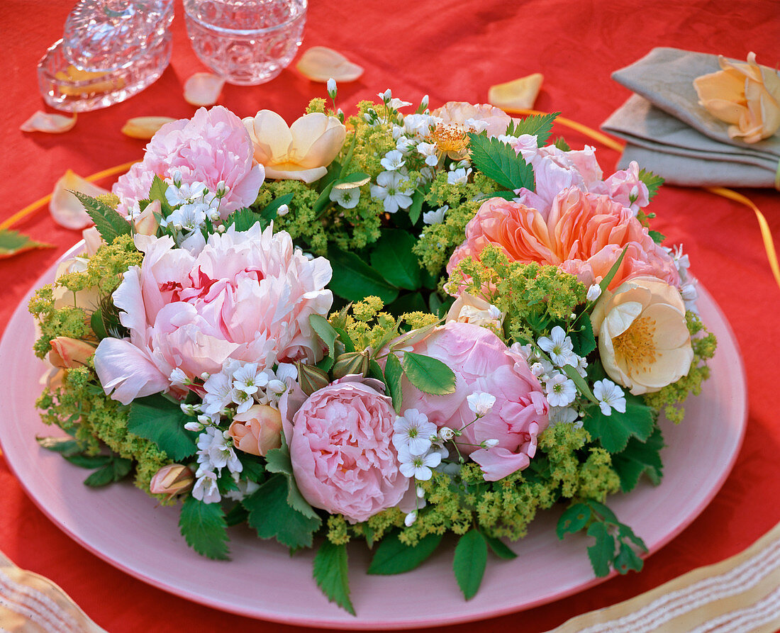 Paeonia 'Sarah Bernhardt' (Pfingstrosen), Rosa 'Abraham Darby'