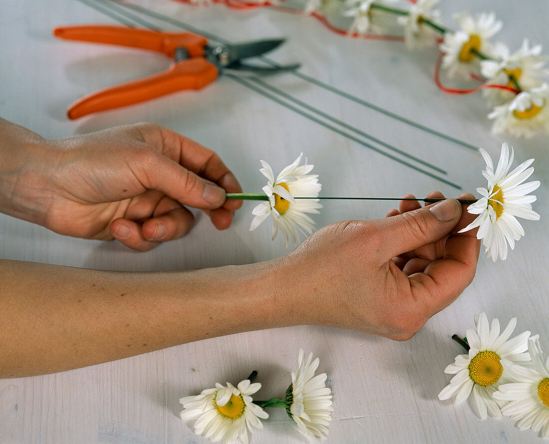 Daisy skewers (1/2)